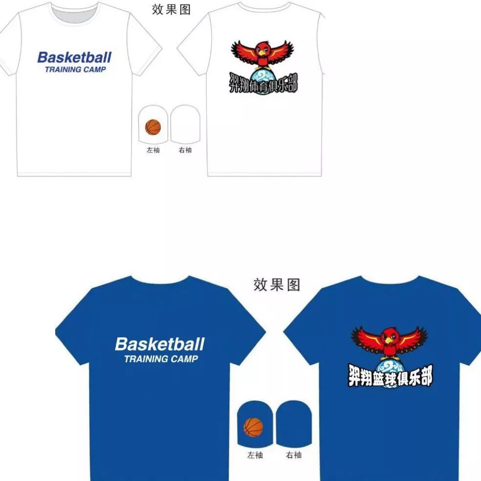 篮球协调训练的有效工具和设备推荐_2